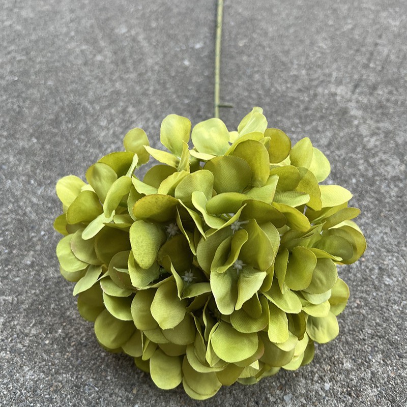 Grand hortensia à une tête, style américain, vert.