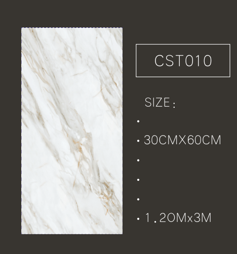 CST010