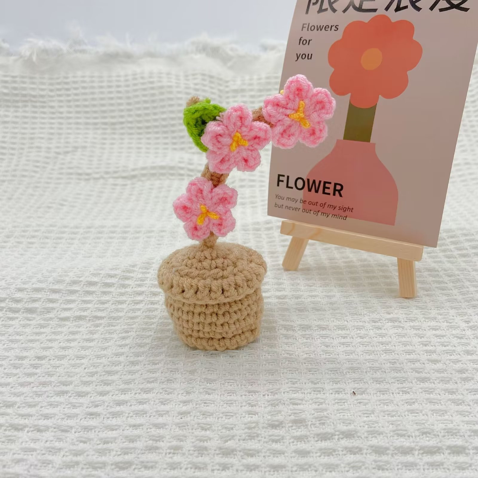 Rosa-5