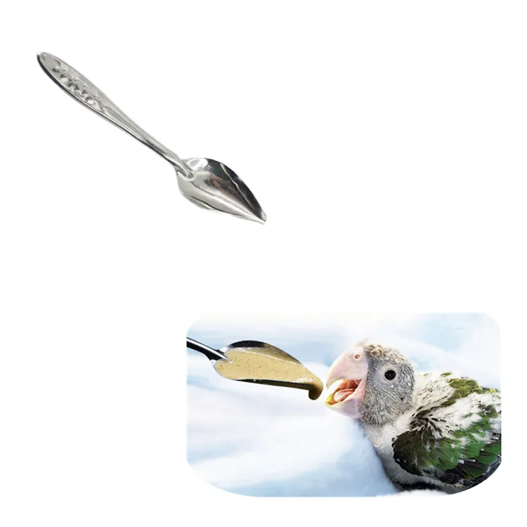 Cucharas de comedero para pájaros de acero inoxidable, cucharas de alimentación para loros, cucharas de alimentación manual para loros