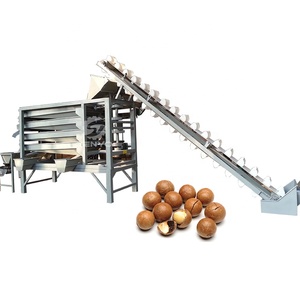 Máquina de clasificación óptica de macadaia Nuts, equipo de clasificación de nueces de fábrica - Product Image 3