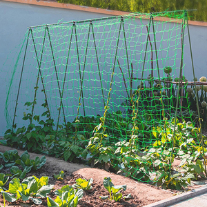 Custom Plastic <strong>Trellis</strong> Support Plant Climbing <strong>Net</strong> Vegetable Support <strong>Netting</strong> Garden <strong>Net</strong> Mesh <strong>Trellis</strong> <strong>Netting</strong> Roll - Product Image 4