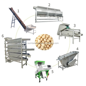 Industrial Automatic Macadamia Grading <strong>Sorting</strong> <strong>Machine</strong> Breaking Macadamia Nut Cracking <strong>Shelling</strong> Processing Equipment - Product Image 2