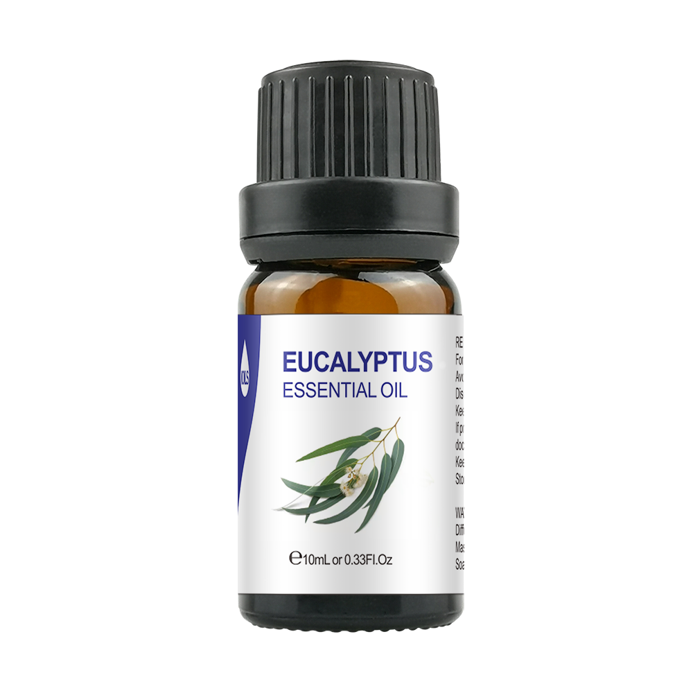 eucalyptus
