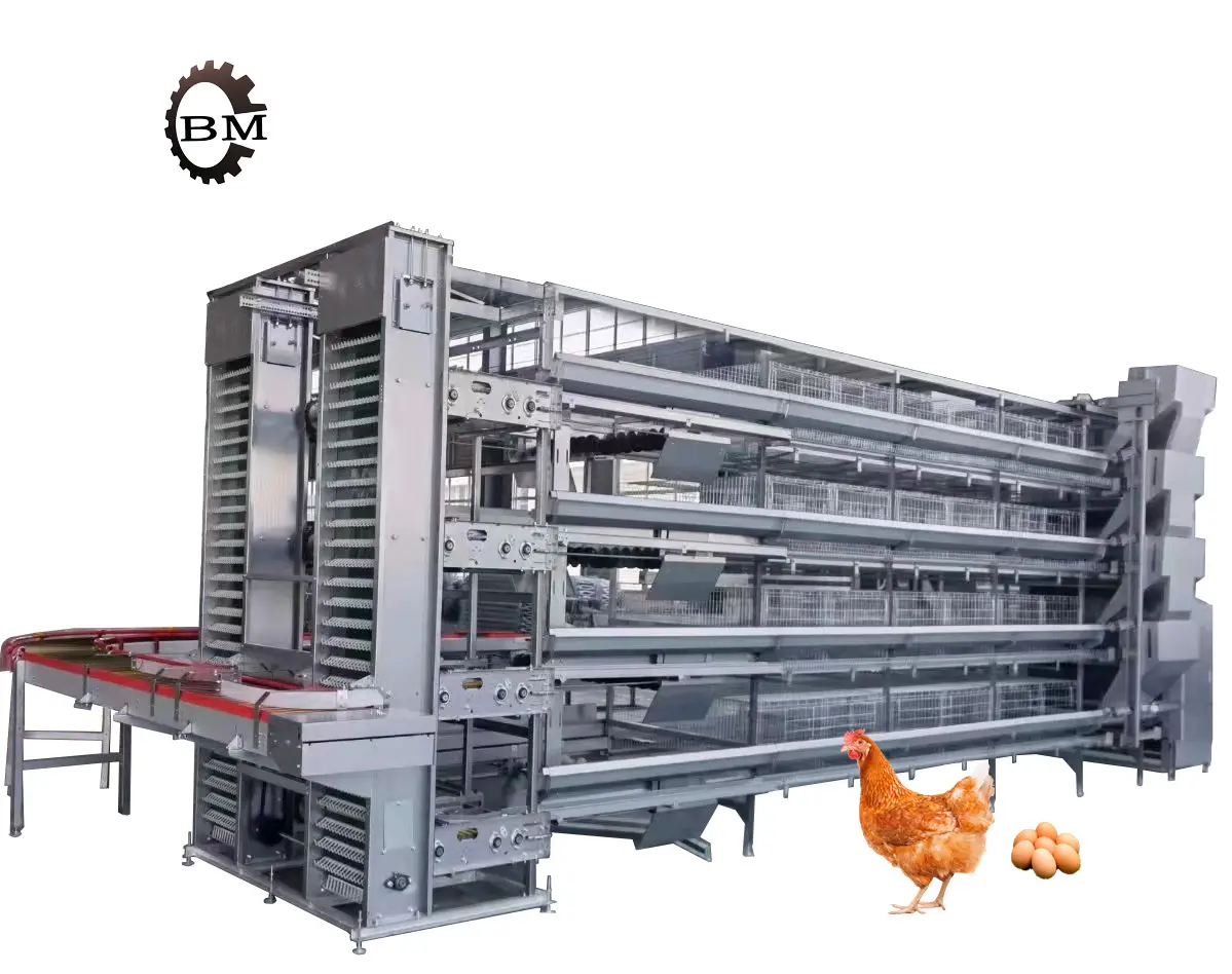 Diseño moderno Casa de granja avícola batería automática capa de huevo jaulas de pollo para la venta