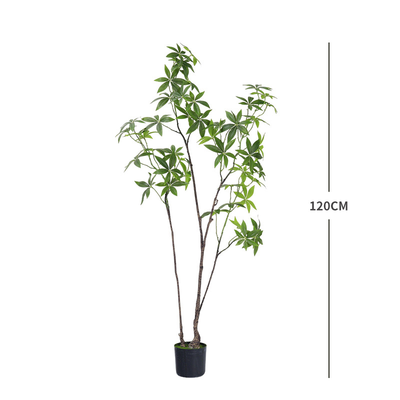 Un 120 cm
