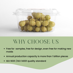 Supply Clamshell Fresh Fruit Clear <strong>PET</strong> <strong>Box</strong> Packaging Container Perforated Plastic Tomato Cherry Grape Fruit Punnets Boxes