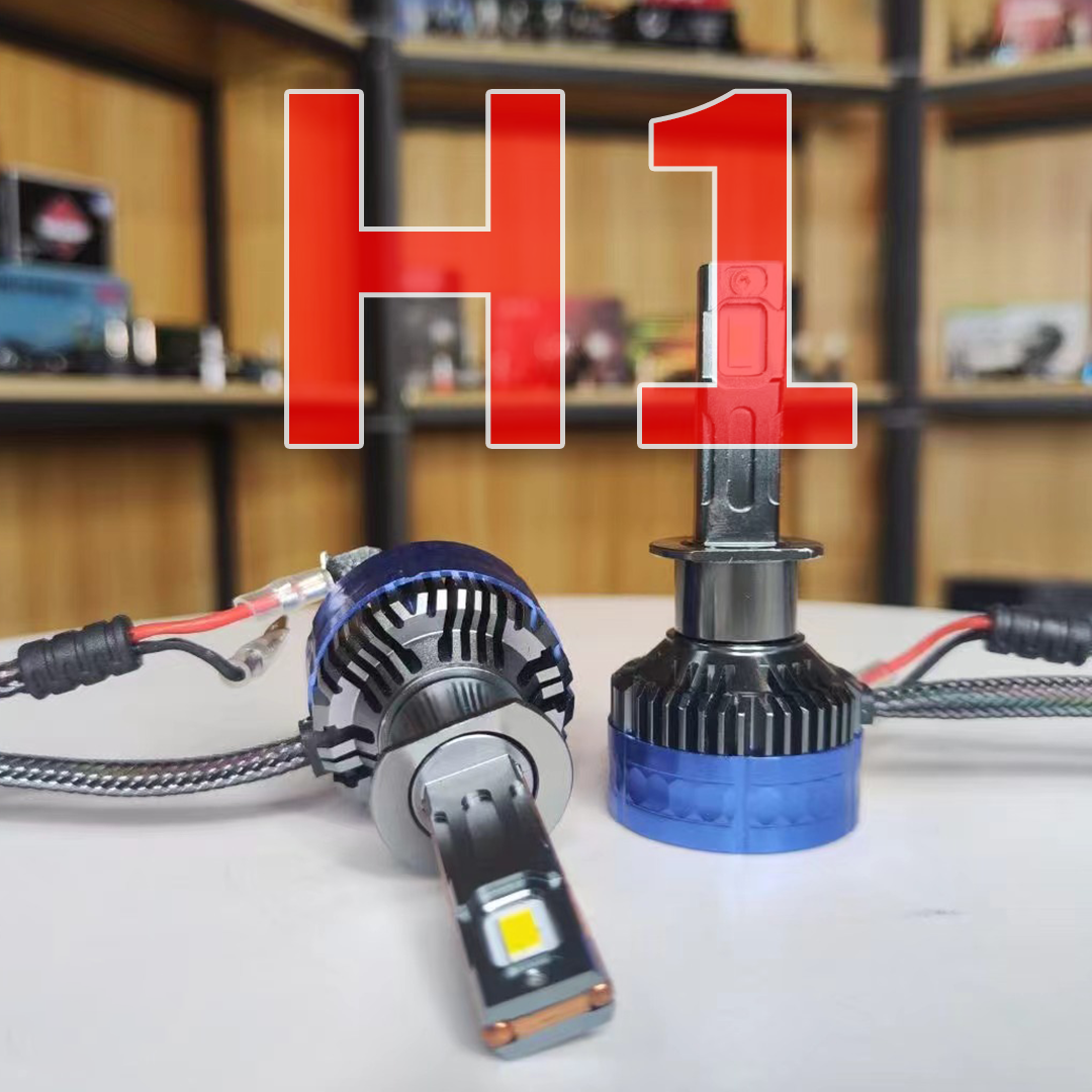 H1