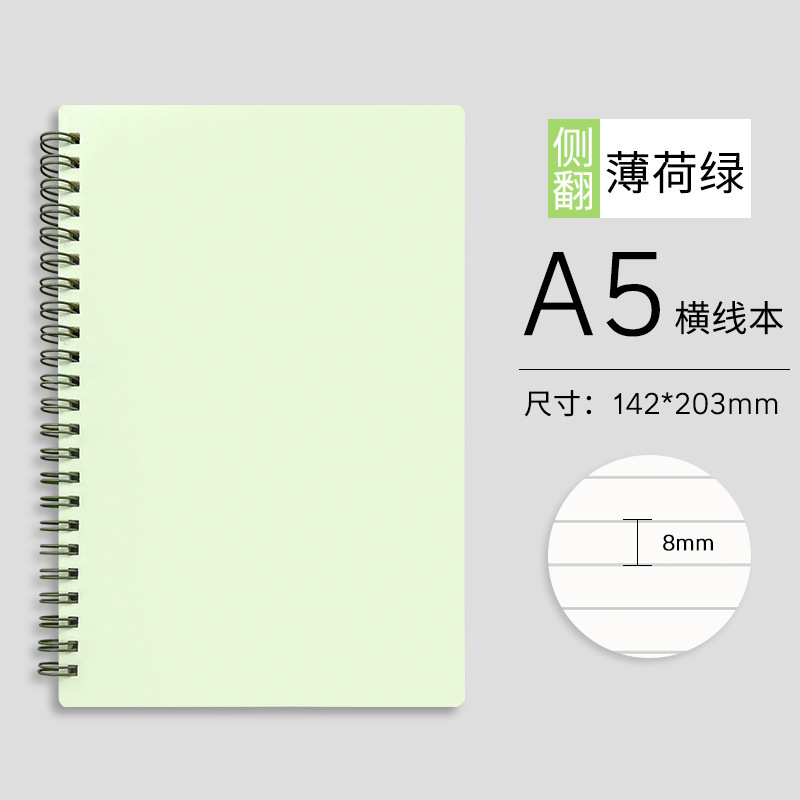 A5 Vert Menthe