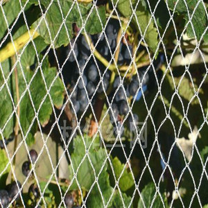 HDPE Netting Anti Bird <strong>Nets</strong> for Catching Birds Protection