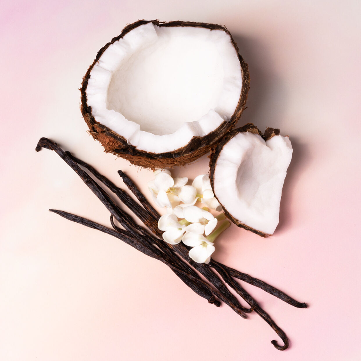 Parfum de lait de coco