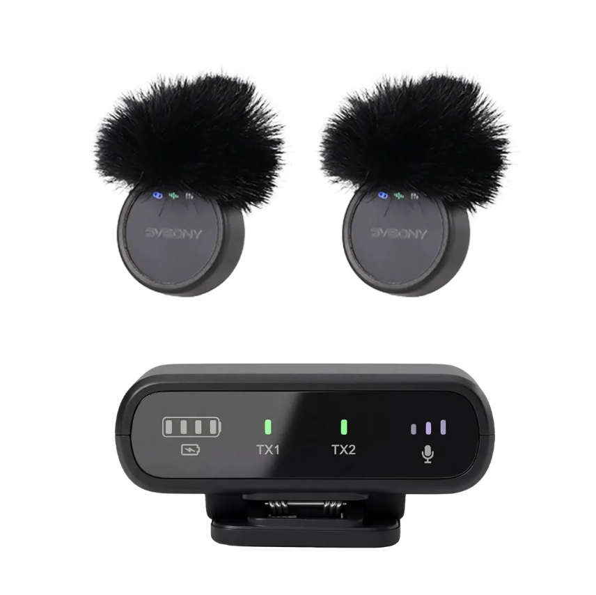 Wireless Mini Microphone
