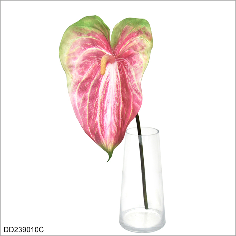 Coeurs blancs rouges