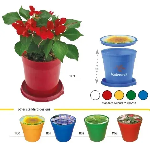 Blue, Yellow, Red, Green