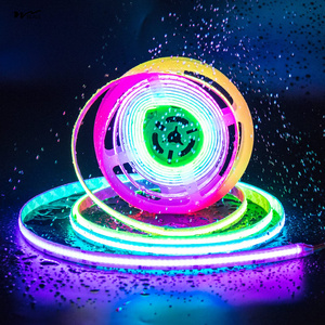 IP65 Waterproof RGB Smart IC COB <strong>LED</strong> Strip Light Addressable 24ft/7.5m,24V Color Flowing Strip Light