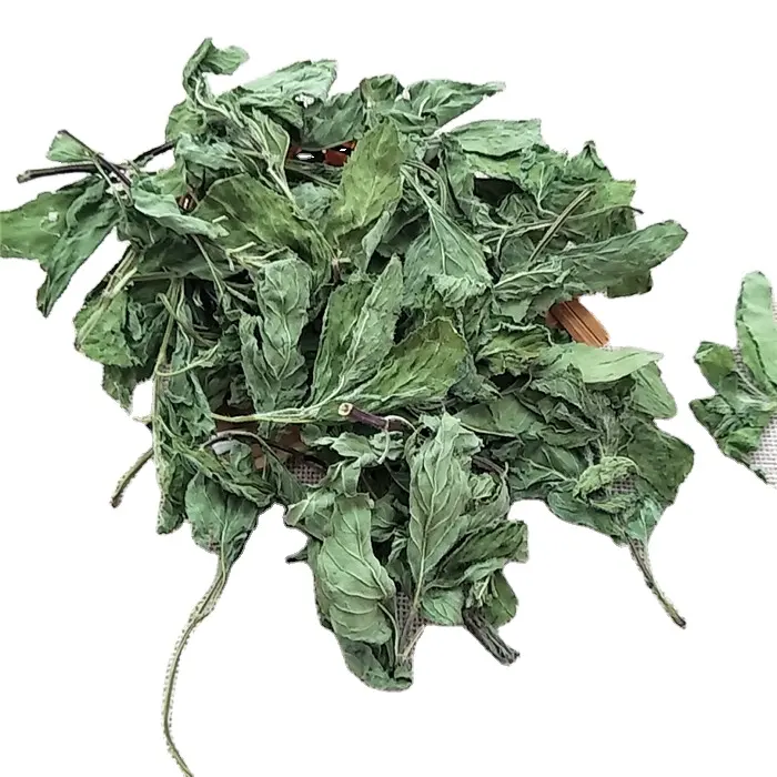 Bo ele novo colete de hortelã grau de chá folhas de hortelã perfumadas folhas de hortelã seca orgânica