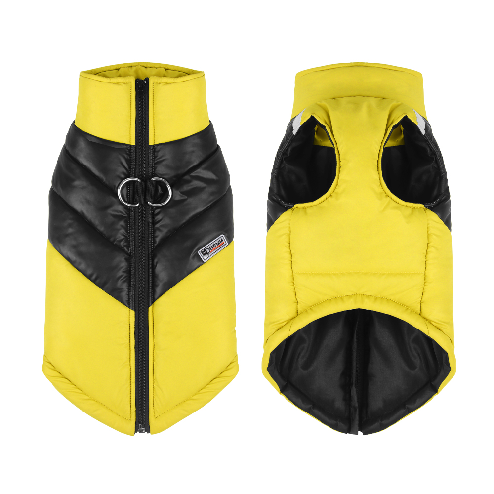Jaune & noir