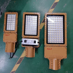 30W-250W Class1/Zone1/Div1 DC AC100-277V İsteğe bağlı Exd ATEX alüminyum IP67 LED patlamaya dayanıklı sokak lambası - Product Image 2
