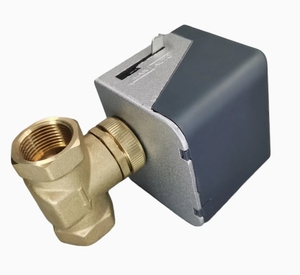 Электродвигатель с латунным шаровым клапаном - Product Image 3