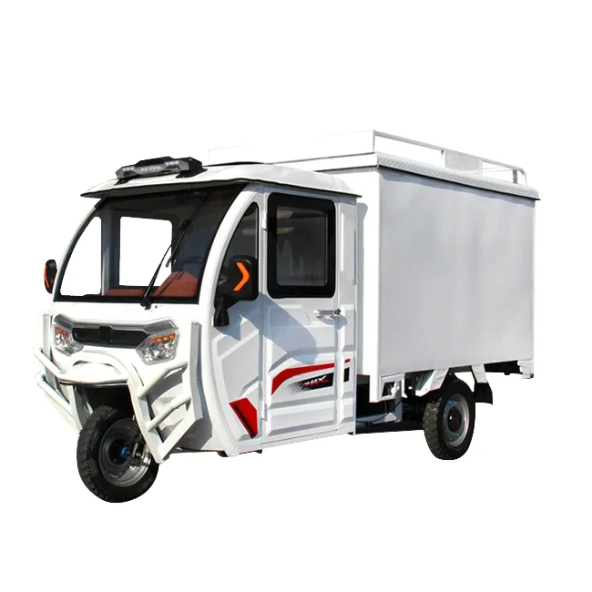 Express Veicles Electric Utility Tricycle Cargo Closed Tricycle For Sale