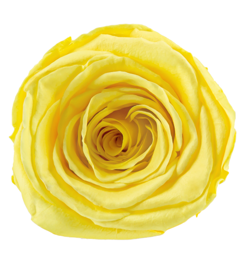 Giallo