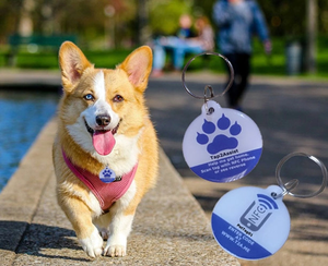 13.56Mhz Thụ Động Không Thấm Nước Epoxy NFC RFID Tag Với Kim Loại Keychain - Product Image 6