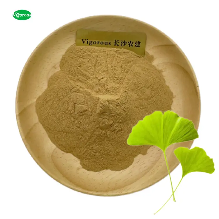 Ginkgo Flavone glikozitler organik % Ginkgo Biloba yaprak özü toz