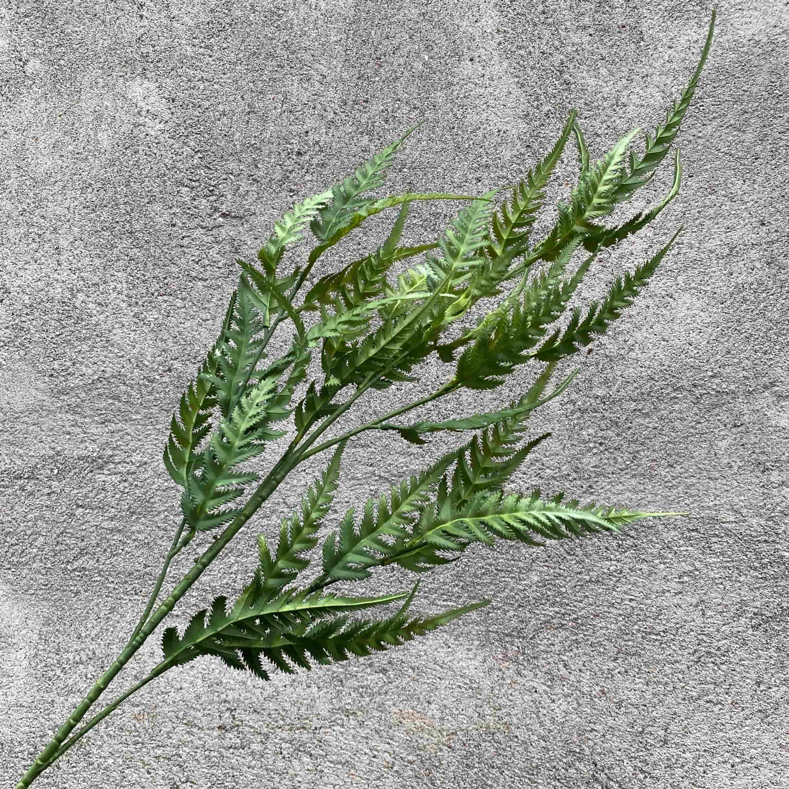Green leaf-T7