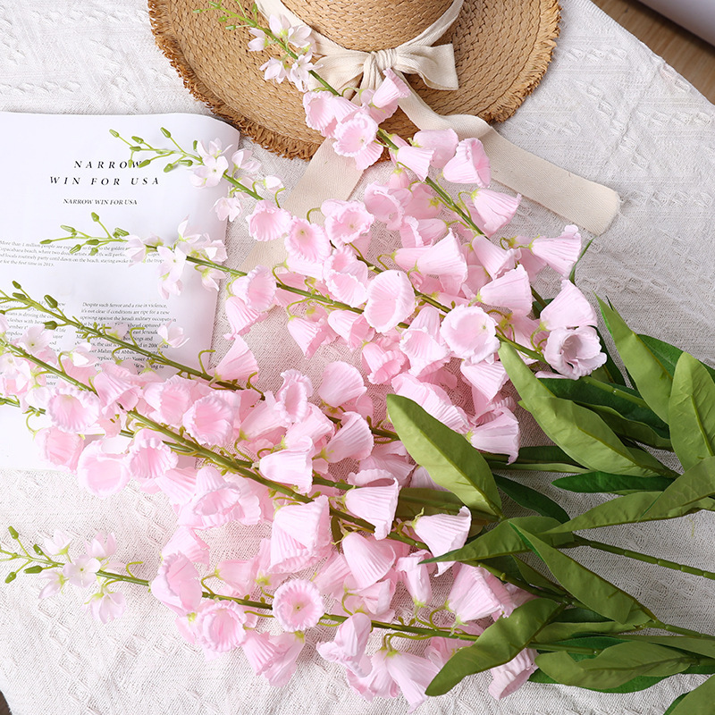 Orchidée