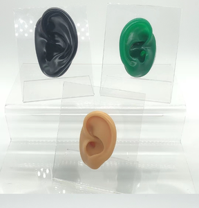 3D silikon kulak sıvı yumuşak insan kulak modeli tıbbi eğitim için silikon kulak modeli - Product Image 3