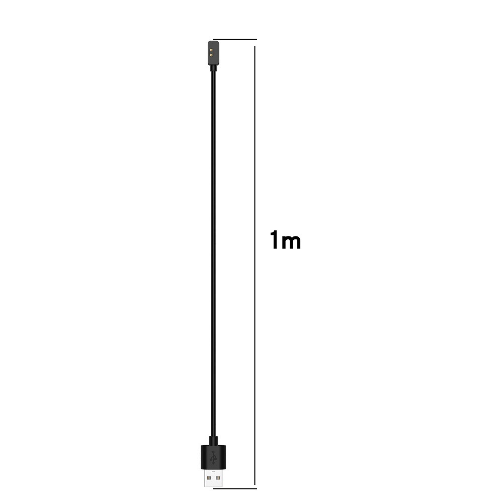 1M