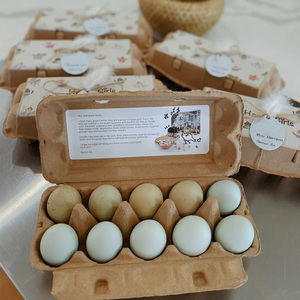 Egg Cartons Storage Flats Bulk Chicken Egg Pulp Reusable Cardboard Trays