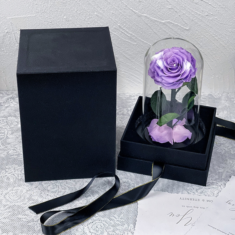 Singola rosa viola chiaro