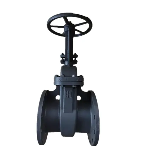 Gost Gate Valve Manual Driven Steel Flanged Type Z41H-16C PN16 industrial