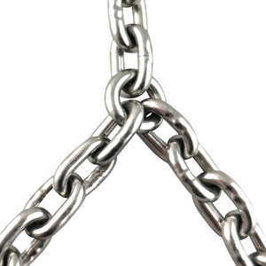 <strong>Chain</strong> Manufacturer 316 Stainless Steel Swing <strong>Chain</strong>