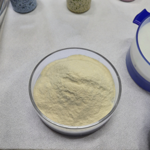 High Potency Premium ST67 Streptococcus Thermophilus Probiotics Powder Raw Material - Product Image 1