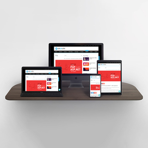 Web şirketi | PHP programlama hindistan-Protolabz eServices