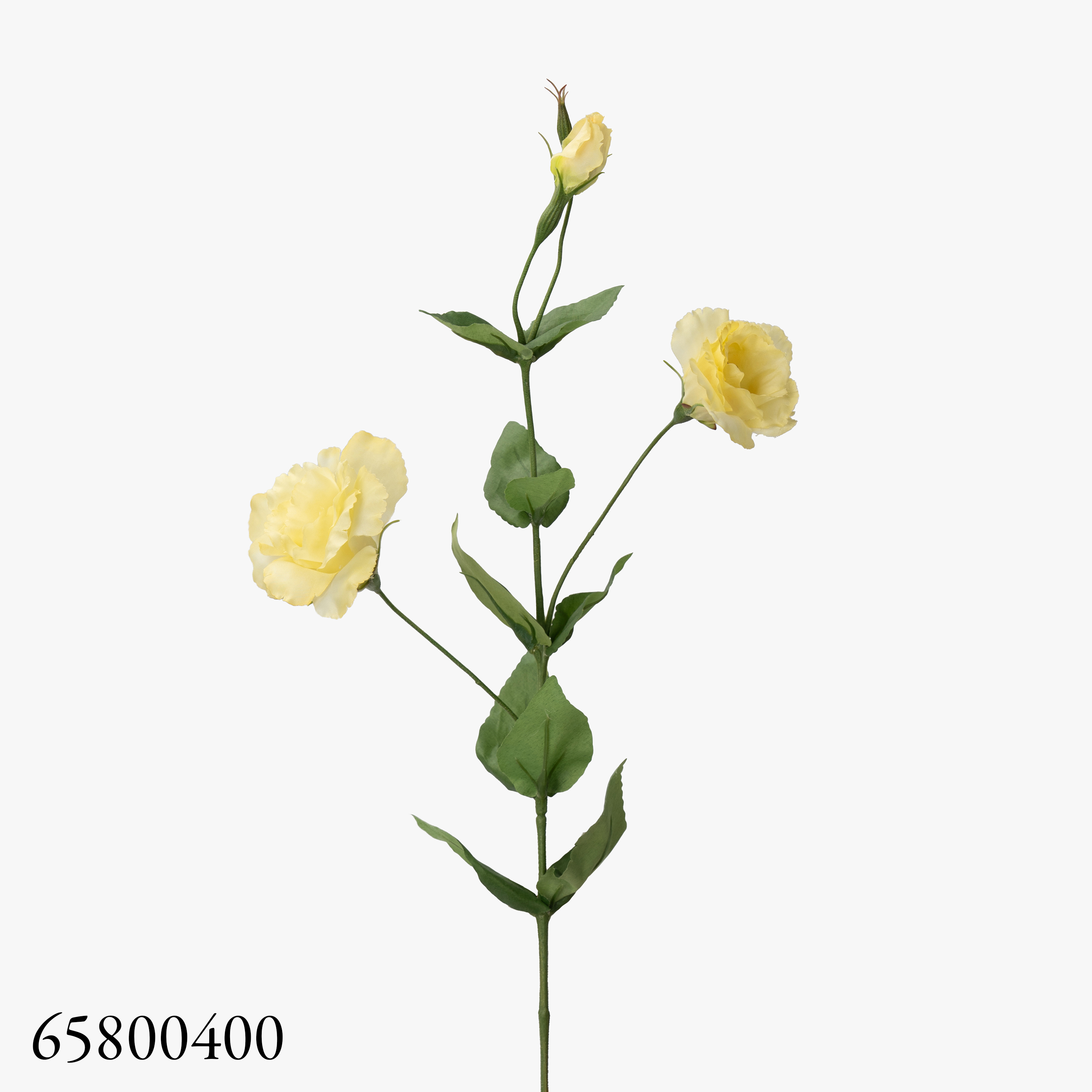 Jaune400