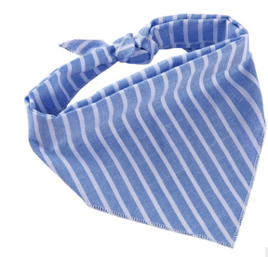 Modello C