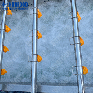Automatic Fruit and Vegetable Washing Machine for Lettuce, <strong>Apples</strong>, and Carrots - Product Image 4