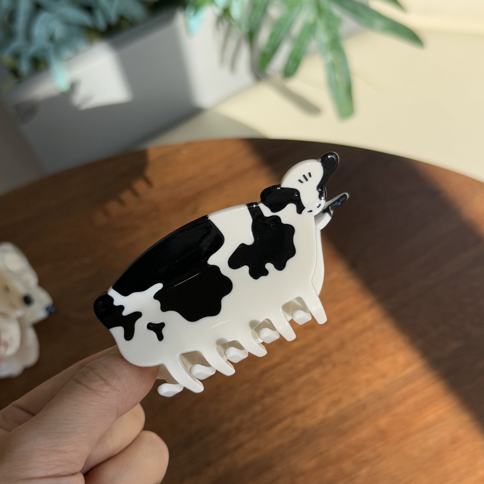 vaca