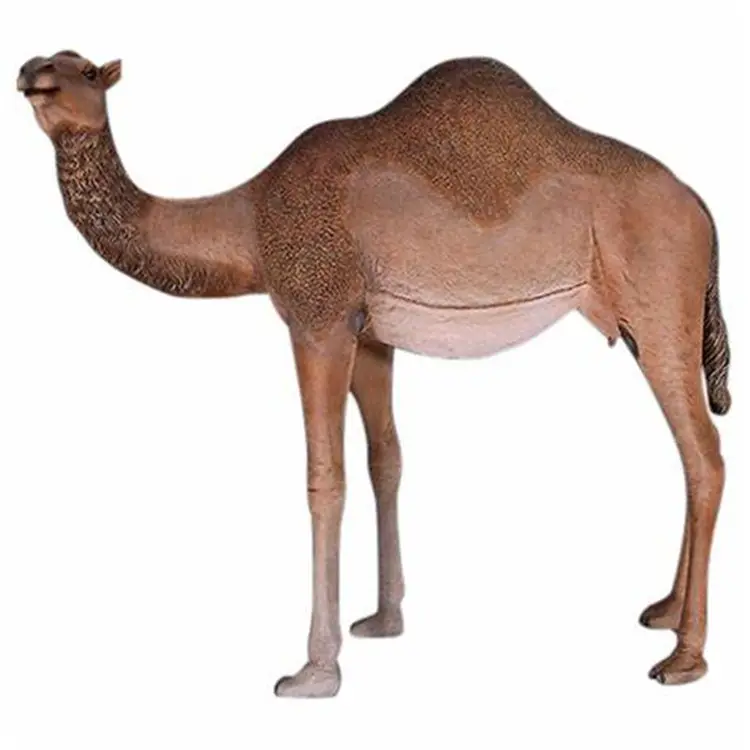 fiberglass camel sculpture