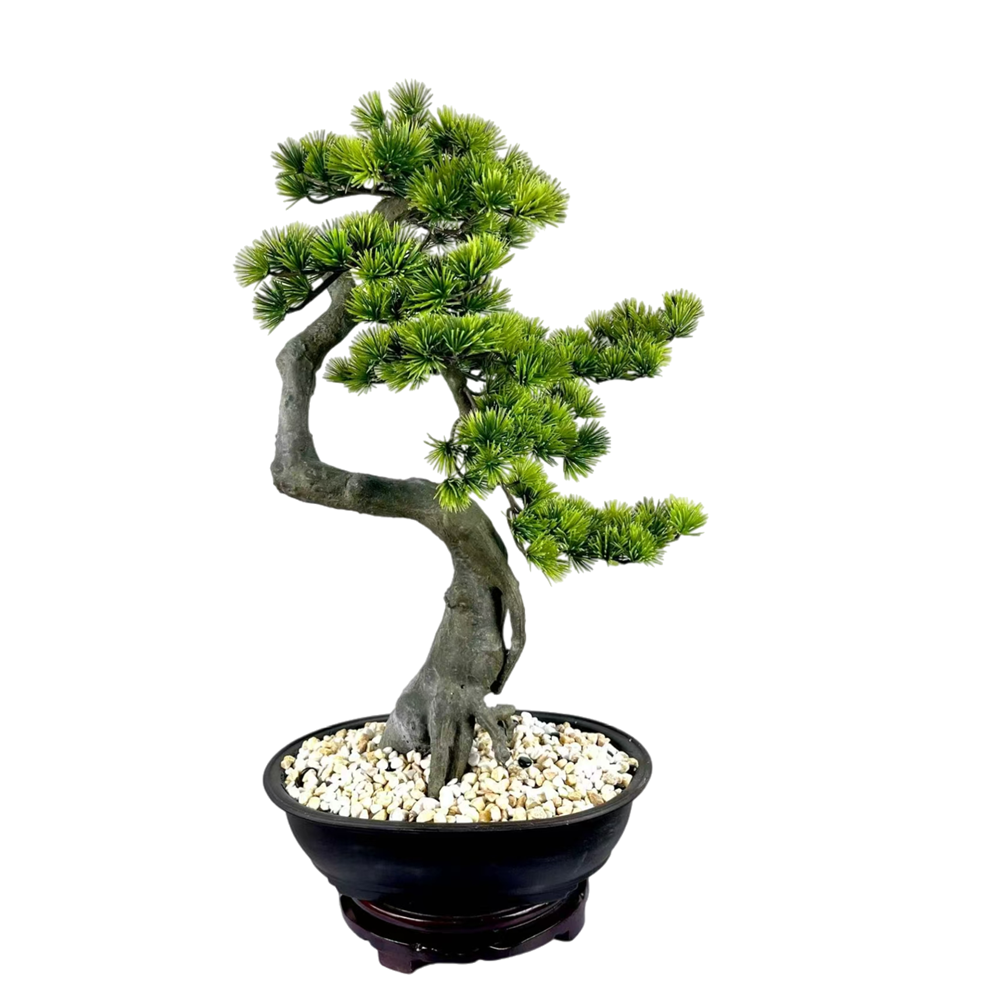 Verde-AP291