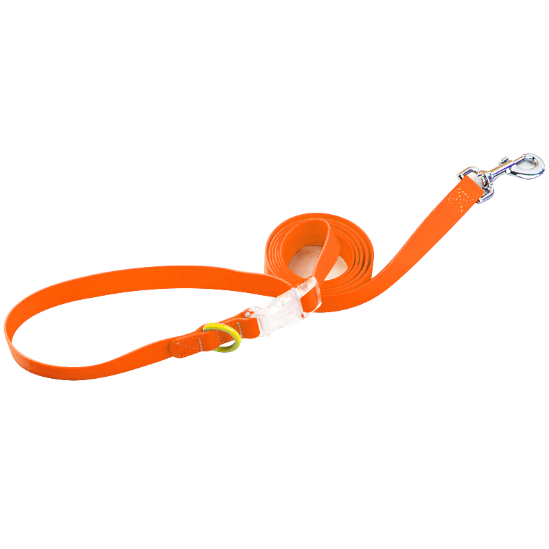 Orange leash