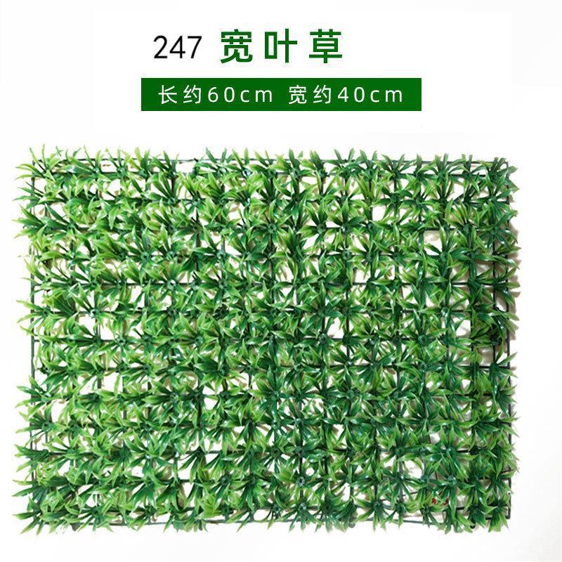 247 wide leaf grass 40*60cm