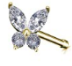Mariposa de oro