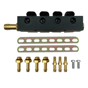 Lpg Cng 4 Cyl Conversion Kit Auto Natural Gas <strong>Gnv</strong> Glp <strong>Injectors</strong> for Auto Engine Parts Spare - Product Image 5