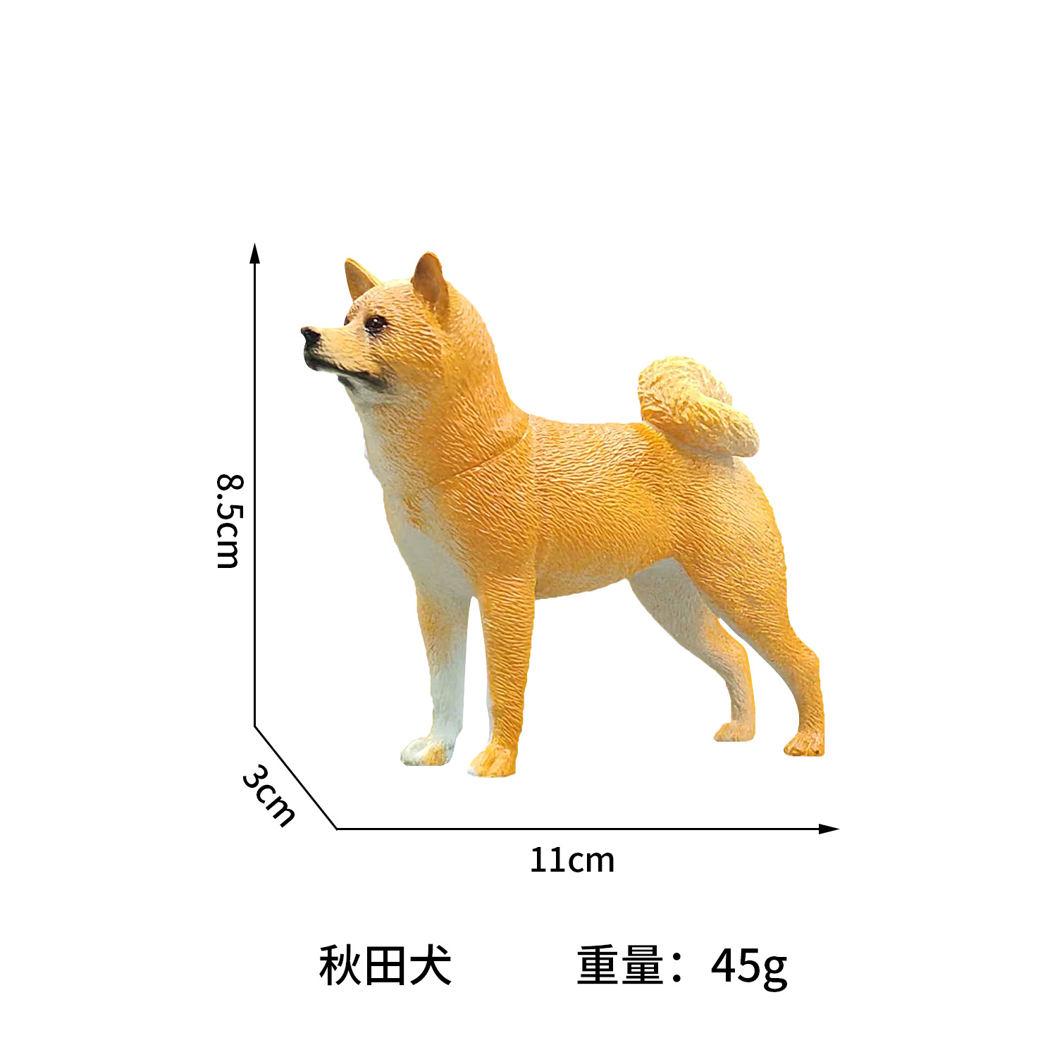 Akita