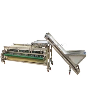 Buona Prestazione Plum Date Smistamento Macchina Grader Date di Classificazione Macchina - Product Image 3
