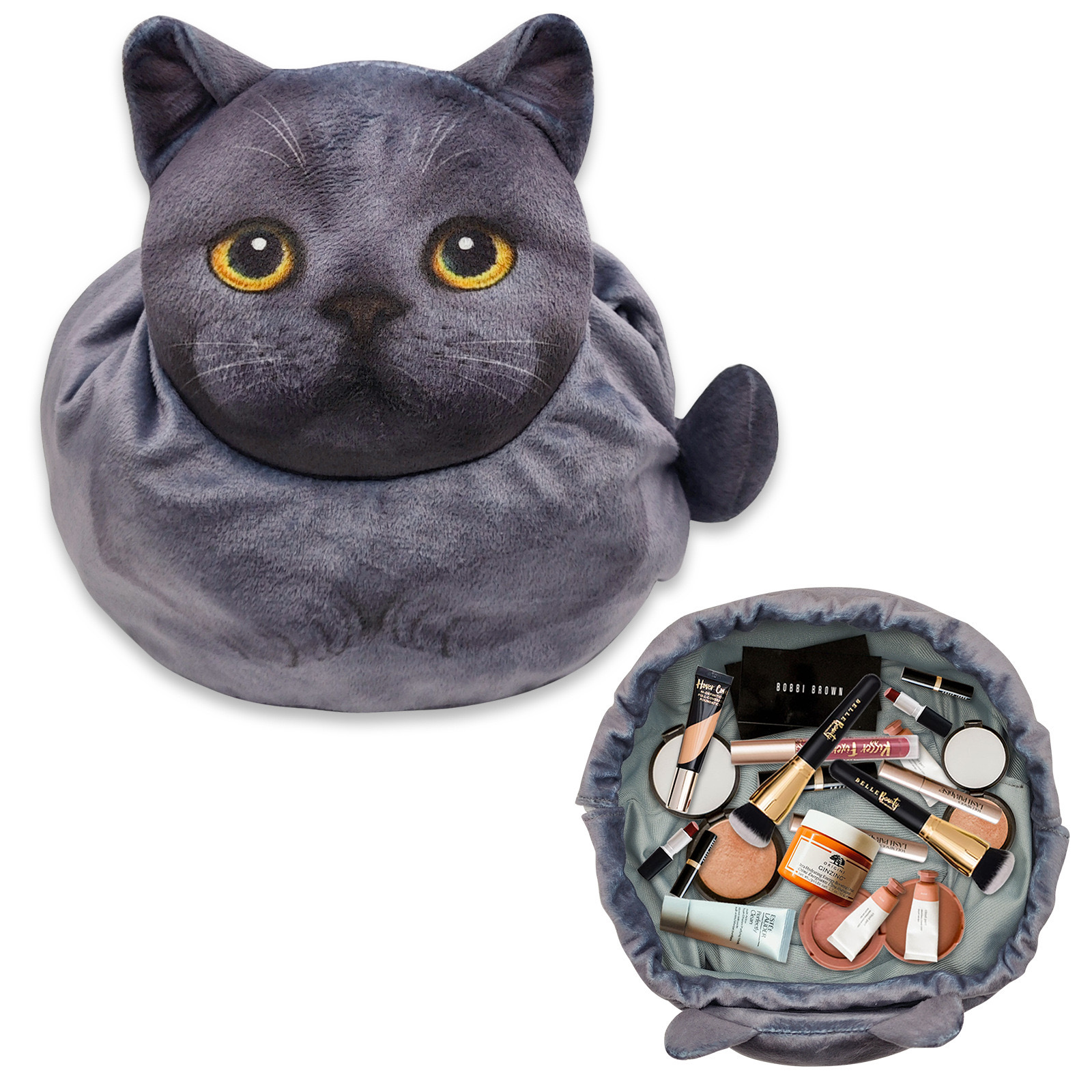Chat bleu
